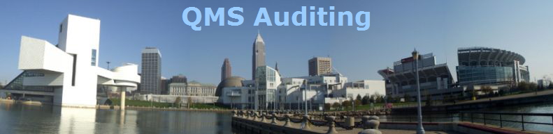 QMS Auditing
